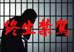 禹州8名驾驶员被终生禁驾！