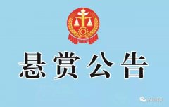 禹州这些人和车辆被许昌市法院悬赏缉拿！最高可获5000元奖励