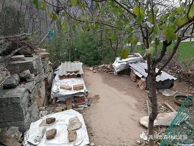 贫困蜂农蜜难卖 禹州森警把它买 贫困蜂农蜜难卖 禹州森警把它买