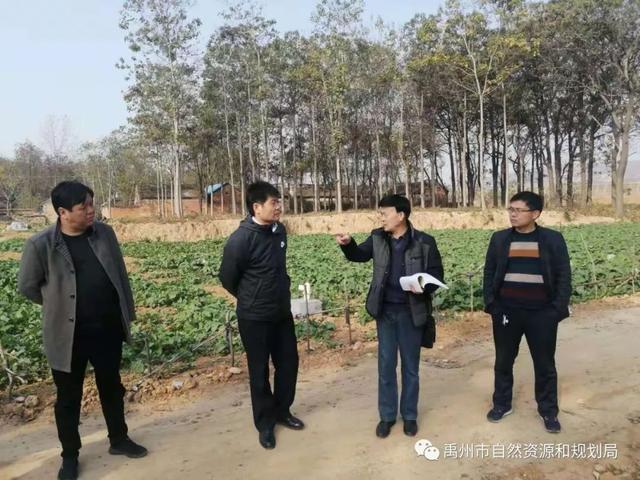 禹州市11个复垦整治项目通过县级初验 禹州市11个复垦整治项目通过县级初验