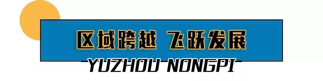 总投资12亿元占地300多亩!禹州西区迎来一个超级大农贸市场! 总投资12亿元占地300多亩!禹州西区迎来一个超级大农贸市场!