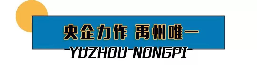 总投资12亿元占地300多亩!禹州西区迎来一个超级大农贸市场! 总投资12亿元占地300多亩!禹州西区迎来一个超级大农贸市场!