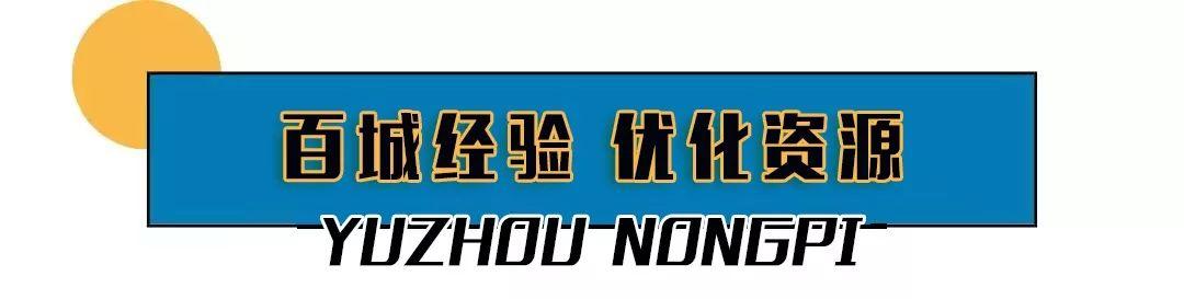 总投资12亿元占地300多亩!禹州西区迎来一个超级大农贸市场! 总投资12亿元占地300多亩!禹州西区迎来一个超级大农贸市场!
