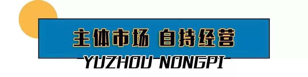 总投资12亿元占地300多亩!禹州西区迎来一个超级大农贸市场! 总投资12亿元占地300多亩!禹州西区迎来一个超级大农贸市场!