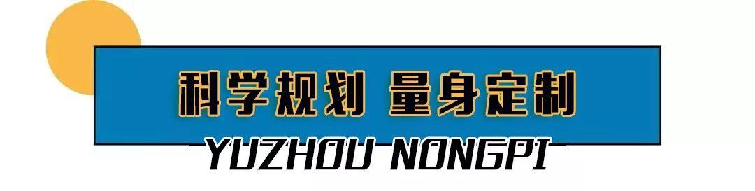 总投资12亿元占地300多亩!禹州西区迎来一个超级大农贸市场! 总投资12亿元占地300多亩!禹州西区迎来一个超级大农贸市场!