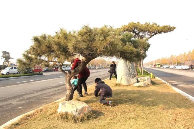 高铁禹州站正式通车!禹州人民正式跨入高铁时代! 高铁禹州站正式通车!禹州人民正式跨入高铁时代!