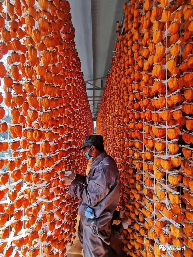 一年收入380万!磨街乡刘门村是怎样做到的? 一年收入380万!磨街乡刘门村是怎样做到的?