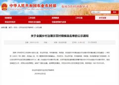 全国示范候选名单公布 禹州李金寨村上榜！