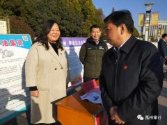 禹州市审计局开展“弘扬宪法精神”宣传活动