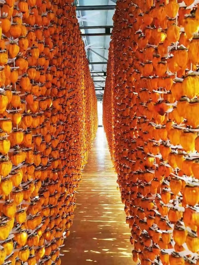 好“柿”成“霜” 禹州刘门村13万斤柿饼上市销售 好“柿”成“霜” 禹州刘门村13万斤柿饼上市销售