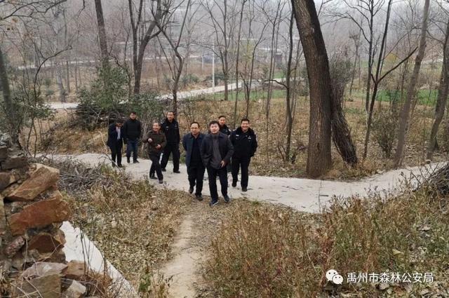 禹州市市委常委办公室主任晁保伟到鸠山镇焦家庄村调研脱贫攻坚工作 禹州市市委常委办公室主任晁保伟到鸠山镇焦家庄村调研脱贫攻坚工作