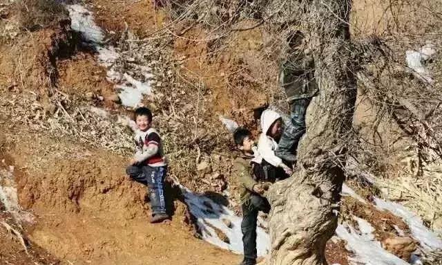 30年前的冬天禹州人都是这样度过的!这些老照片让人泪目...... 30年前的冬天禹州人都是这样度过的!这些老照片让人泪目......