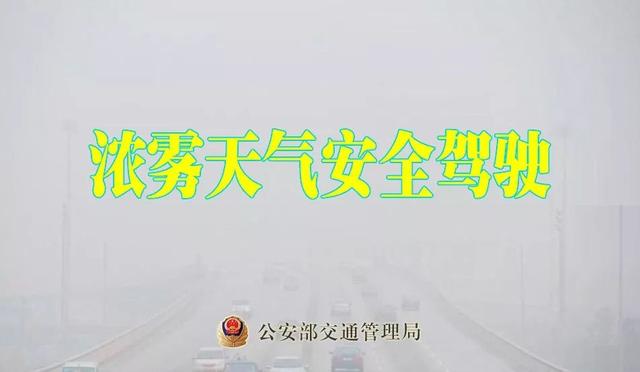 大雾来了!禹州人开车这份安全驾驶秘籍速速扩散学习! 大雾来了!禹州人开车这份安全驾驶秘籍速速扩散学习!