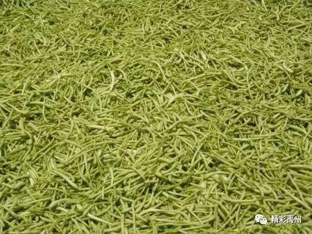 河南省“我最喜爱的名特优新农产品”,岂能少了咱禹州? 河南省“我最喜爱的名特优新农产品”,岂能少了咱禹州?