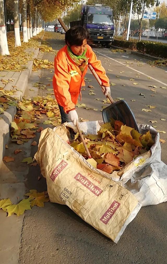 禹州环卫:坚持开展每周清洁行动 常态巩固城区卫生质量 禹州环卫:坚持开展每周清洁行动 常态巩固城区卫生质量