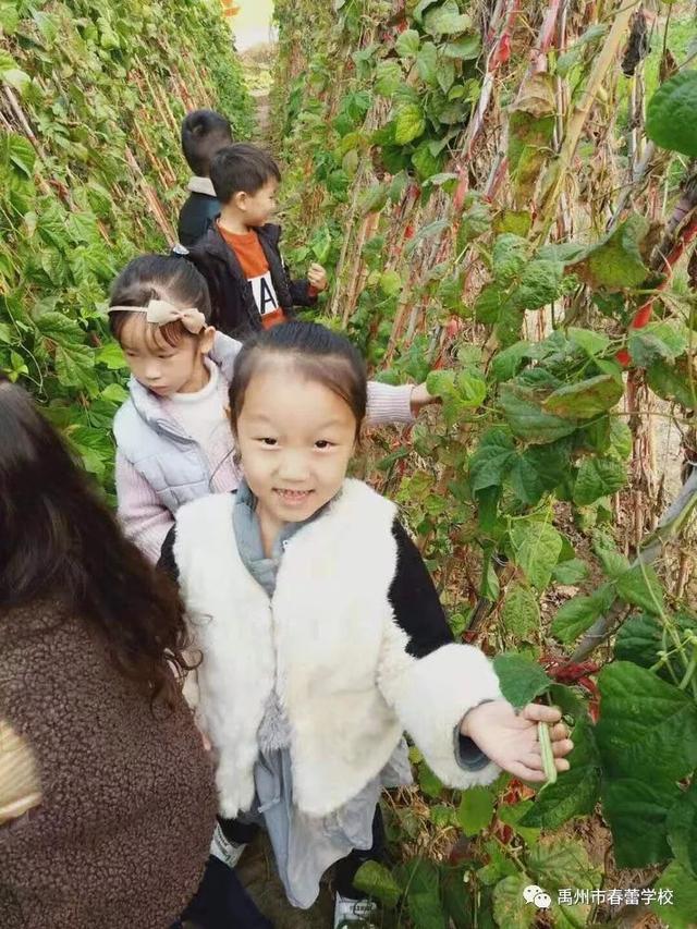 禹州市春蕾学校~春蕾幼儿园2020年春季招生开始啦! 禹州市春蕾学校~春蕾幼儿园2020年春季招生开始啦!