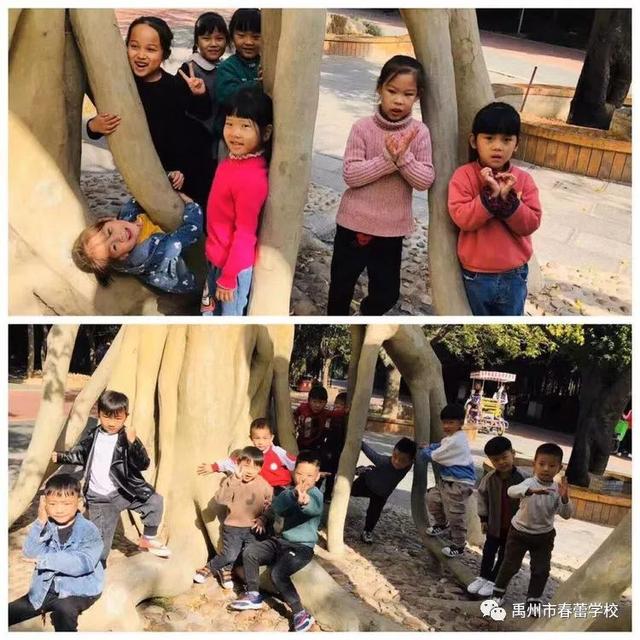 禹州市春蕾学校~春蕾幼儿园2020年春季招生开始啦! 禹州市春蕾学校~春蕾幼儿园2020年春季招生开始啦!