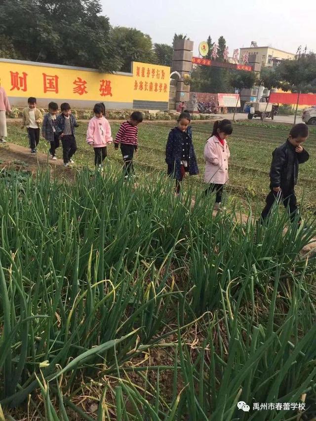禹州市春蕾学校~春蕾幼儿园2020年春季招生开始啦! 禹州市春蕾学校~春蕾幼儿园2020年春季招生开始啦!