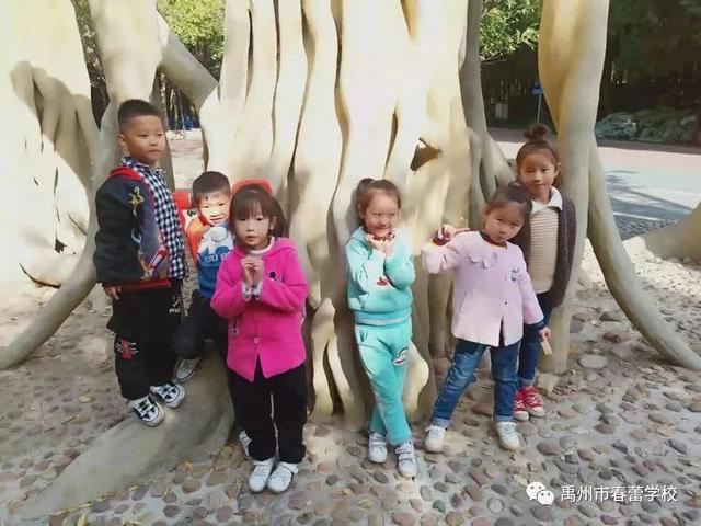 禹州市春蕾学校~春蕾幼儿园2020年春季招生开始啦! 禹州市春蕾学校~春蕾幼儿园2020年春季招生开始啦!