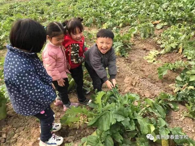 禹州市春蕾学校~春蕾幼儿园2020年春季招生开始啦! 禹州市春蕾学校~春蕾幼儿园2020年春季招生开始啦!