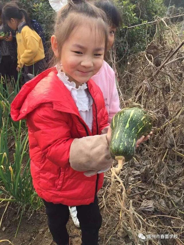 禹州市春蕾学校~春蕾幼儿园2020年春季招生开始啦! 禹州市春蕾学校~春蕾幼儿园2020年春季招生开始啦!
