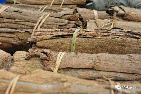 古井、老树、石墙…魏井村这个藏在深山里的世外桃源 古井、老树、石墙…魏井村这个藏在深山里的世外桃源