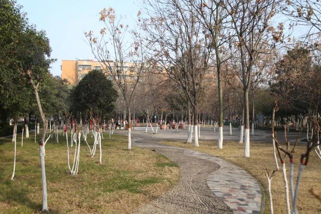 房价重回4000+!禹州城南一批大产权住宅惊艳曝光! 房价重回4000+!禹州城南一批大产权住宅惊艳曝光!