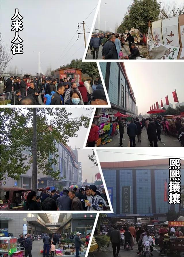 禹州商博城狗市 老一辈人的热衷之地! 禹州商博城狗市 老一辈人的热衷之地!