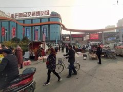 禹州商博城狗市 老一辈人的热衷之地！