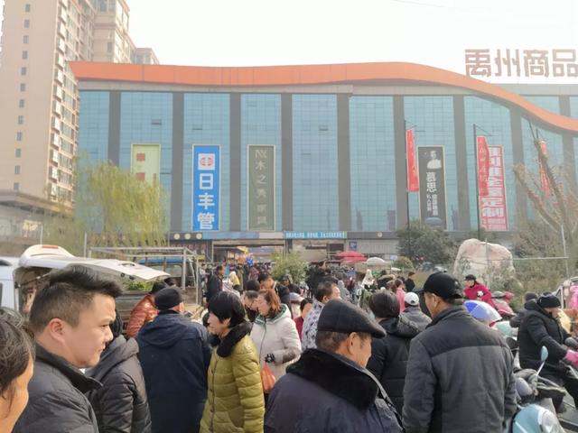 禹州商博城狗市 老一辈人的热衷之地! 禹州商博城狗市 老一辈人的热衷之地!