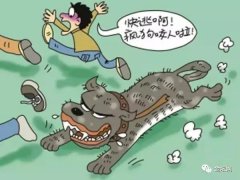 震惊朋友圈！禹州某村传来枪声！原因是...