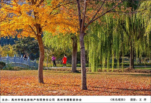 禹州市恒达滨河府杯摄影大赛部分获奖作品展示 禹州市恒达滨河府杯摄影大赛部分获奖作品展示