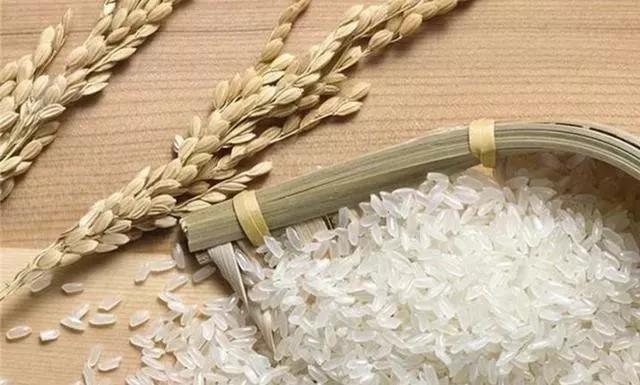 霍氏米业禹州官方体验店开业!以后可以更省心地购买纯正五常大米啦 霍氏米业禹州官方体验店开业!以后可以更省心地购买纯正五常大米啦
