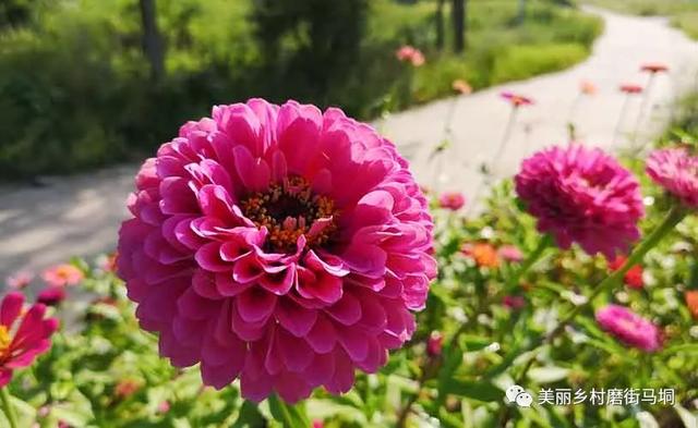 禹州竟然这么强!回顾2019年真的太牛了...! 禹州竟然这么强!回顾2019年真的太牛了...!