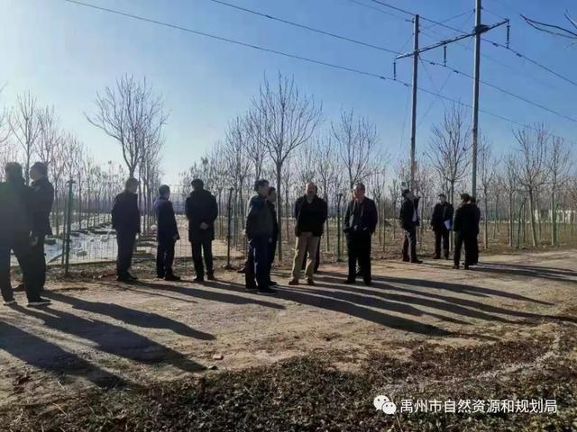 吉林省林草局莅禹参观考察国家储备林项目建设工作 吉林省林草局莅禹参观考察国家储备林项目建设工作