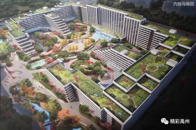 未来五年咋发展?禹州将这样干! 未来五年咋发展?禹州将这样干!