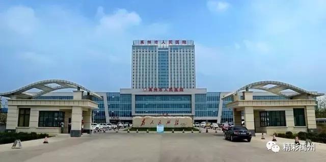 未来五年咋发展?禹州将这样干! 未来五年咋发展?禹州将这样干!