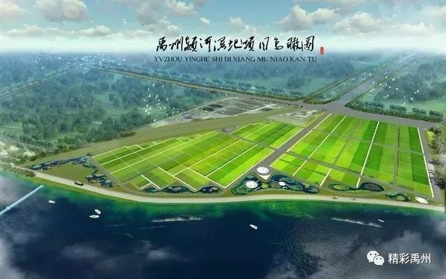 新年第一天,禹州市书记市长放在心头的是 新年第一天,禹州市书记市长放在心头的是