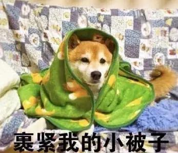 下雪啦!禹州气象台官宣了!中雨转雨夹雪!降雪区域已定→禹州 下雪啦!禹州气象台官宣了!中雨转雨夹雪!降雪区域已定→禹州