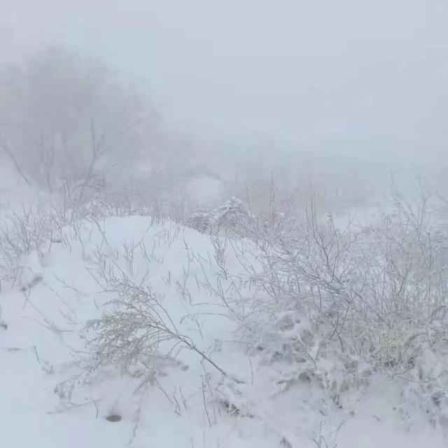 昨晚禹州苌庄、磨街大雪纷飞 其它地方不见雪大揭秘 昨晚禹州苌庄、磨街大雪纷飞 其它地方不见雪大揭秘
