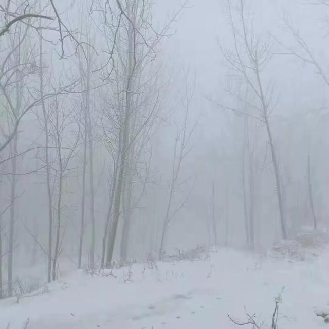 昨晚禹州苌庄、磨街大雪纷飞 其它地方不见雪大揭秘 昨晚禹州苌庄、磨街大雪纷飞 其它地方不见雪大揭秘