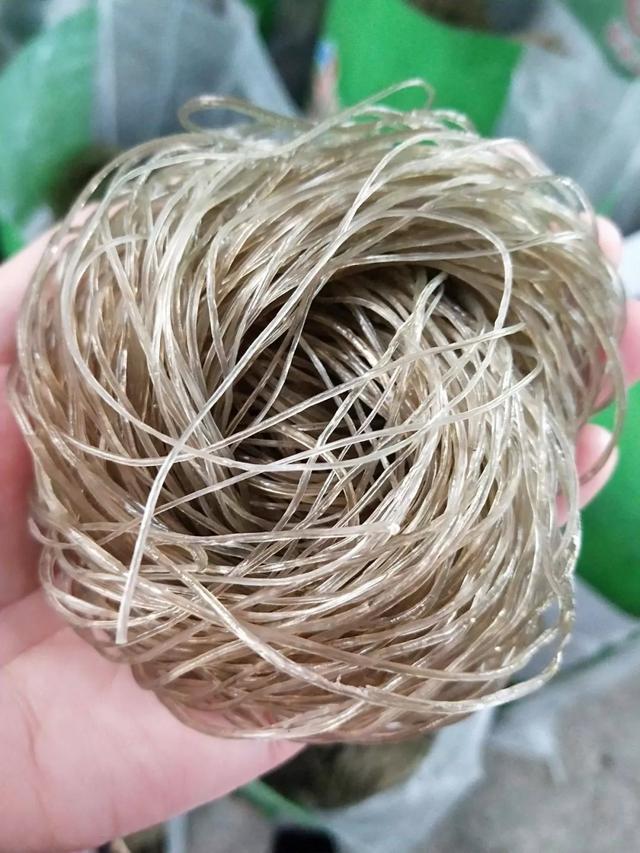 禹州红薯粉条:过年话粉条 禹州红薯粉条:过年话粉条