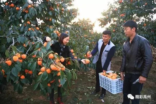 禹州市委经济工作会议召开!禹州2020年怎么干?干货都在这里! 禹州市委经济工作会议召开!禹州2020年怎么干?干货都在这里!