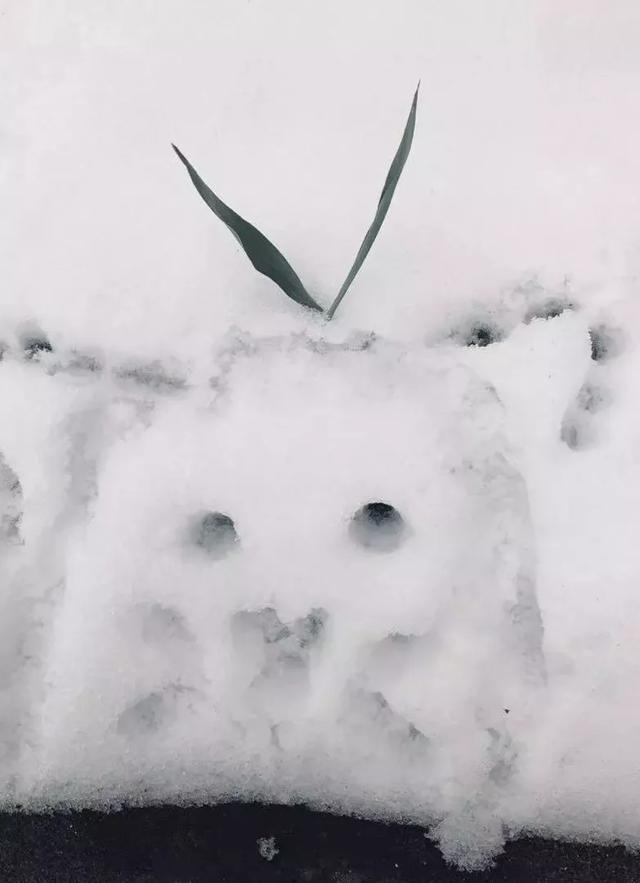 神垕古镇风花雪夜 2020年的第一场雪已到货 神垕古镇风花雪夜 2020年的第一场雪已到货
