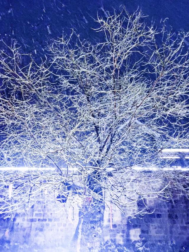 神垕古镇风花雪夜 2020年的第一场雪已到货 神垕古镇风花雪夜 2020年的第一场雪已到货