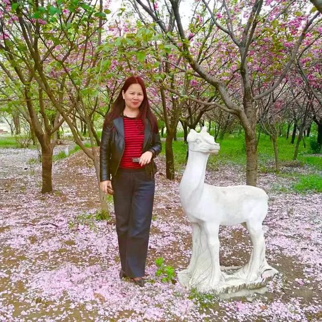 禹州一校长大胆尝试《坐上高铁去研学》结果…! 禹州一校长大胆尝试《坐上高铁去研学》结果…!