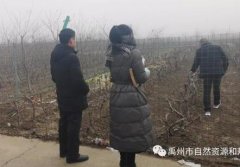 禹州市自然资源和规划局加快推进土地收储力争首季“开门红”