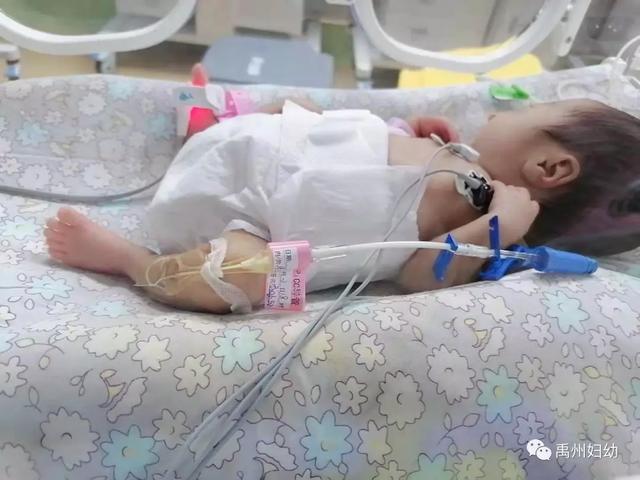 禹州妇幼保健院被省卫健委评定为省标准化建设单位! 禹州妇幼保健院被省卫健委评定为省标准化建设单位!