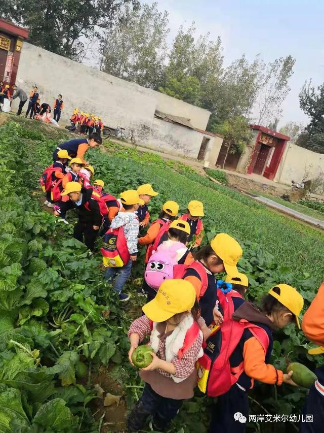 禹州两岸艾米尔幼儿园 承包您孩子三年的美丽时光 禹州两岸艾米尔幼儿园 承包您孩子三年的美丽时光