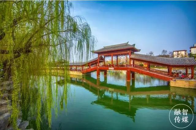 禹州8个村要在全省出名了!荣获河南省森林乡村称号 禹州8个村要在全省出名了!荣获河南省森林乡村称号